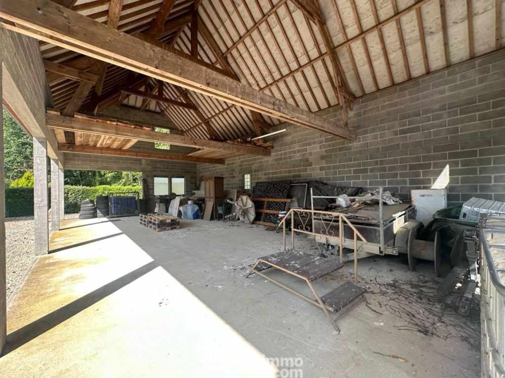 Photo 8