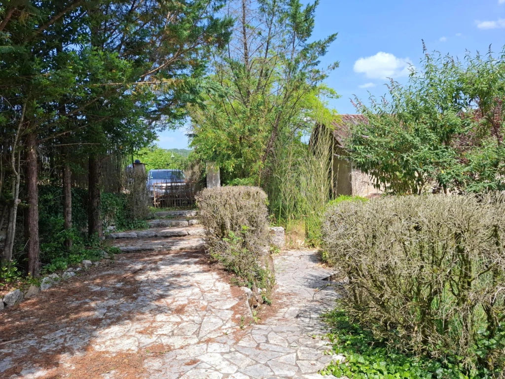 Photo 19