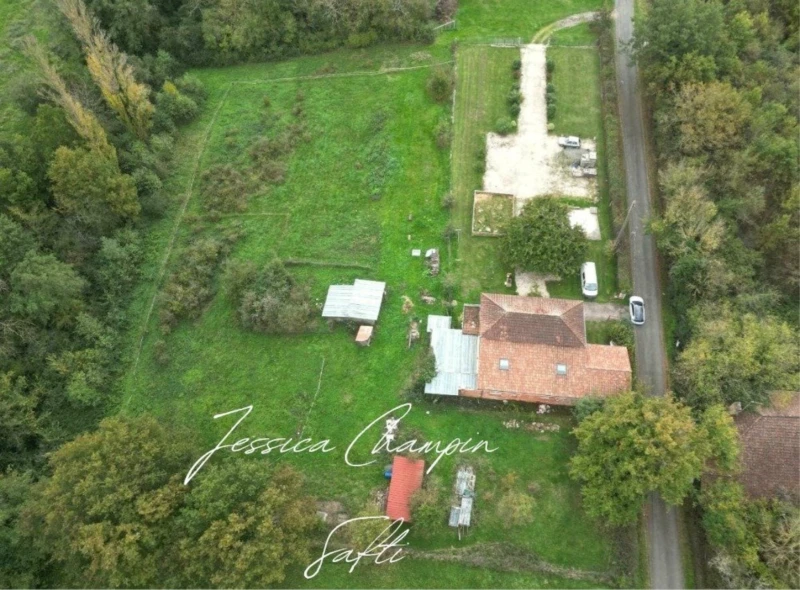 Photo 14