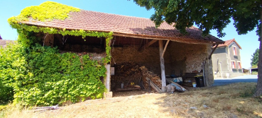 Photo 19