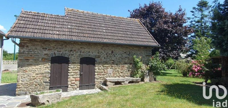Photo 11