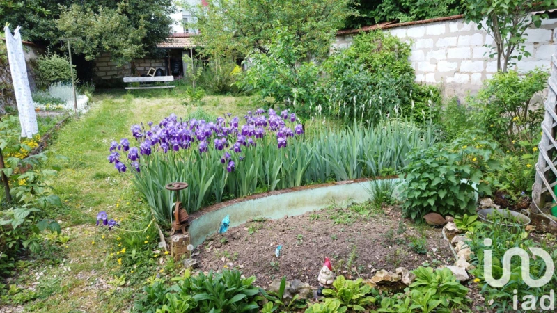 Photo 19