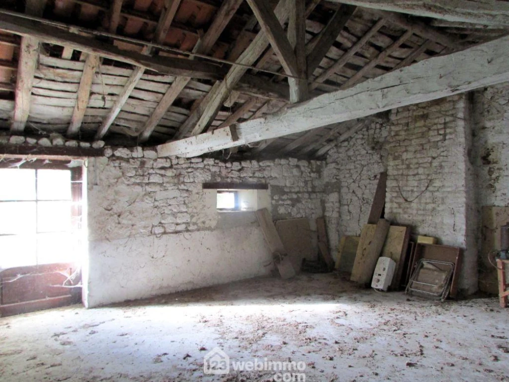 Photo 15
