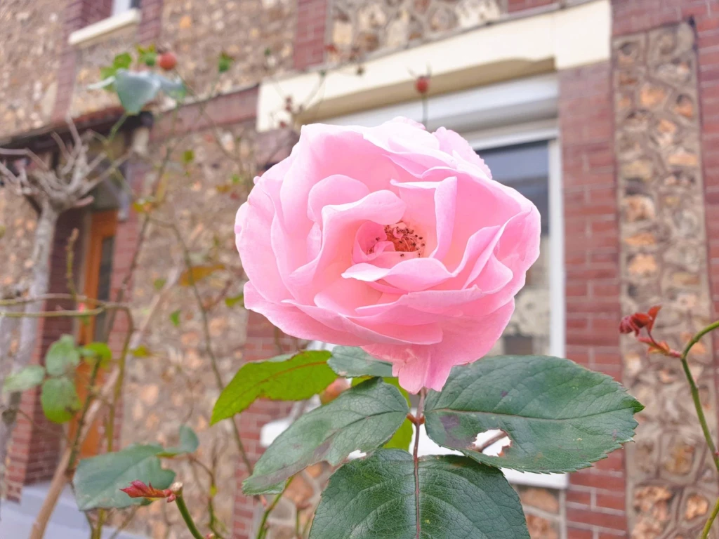 Photo 7
