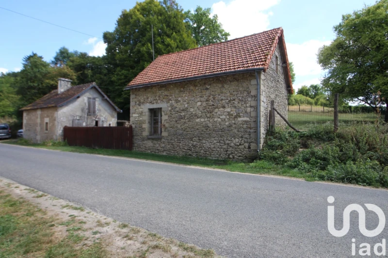 Photo 19