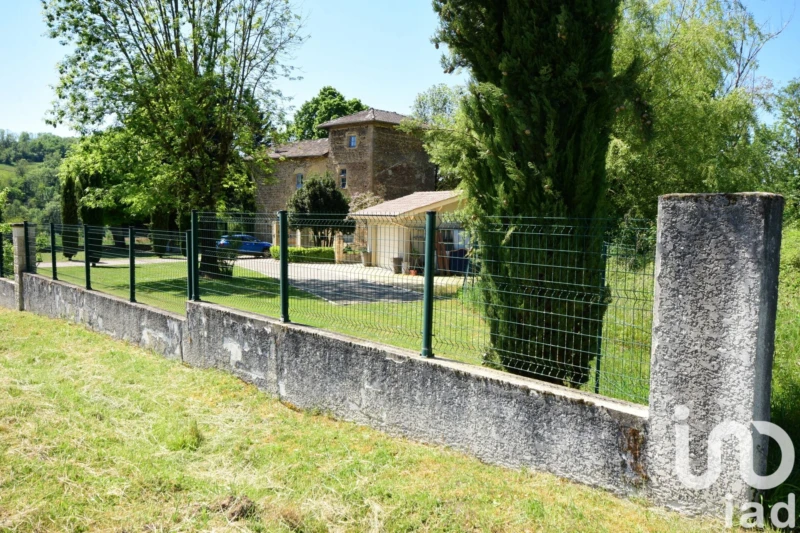Photo 19