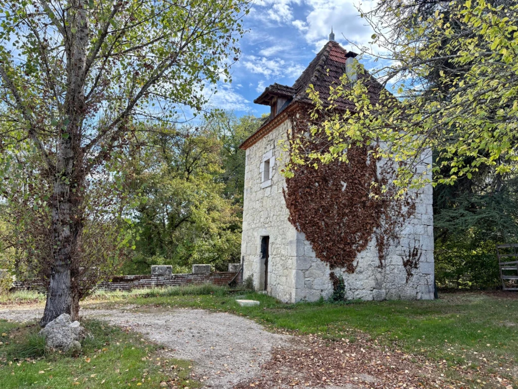 Photo 19
