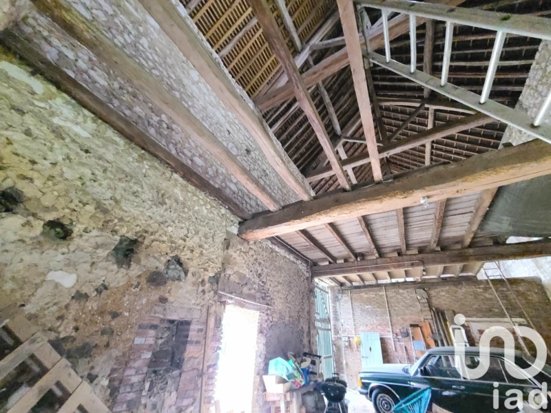 Photo 19