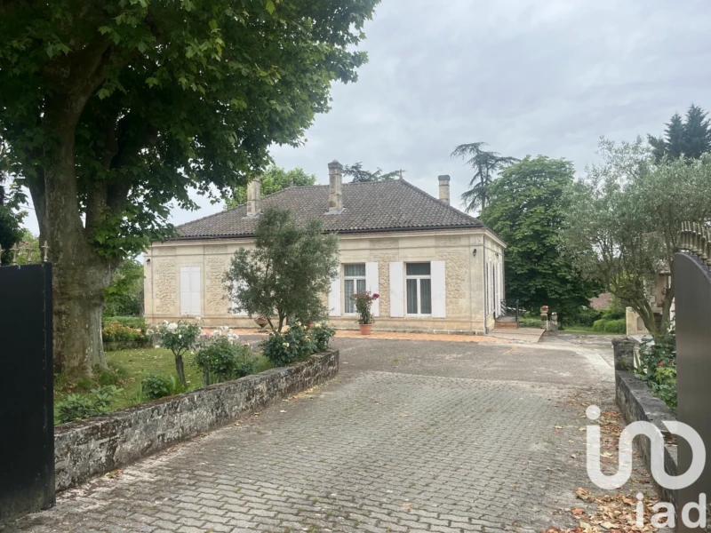 Photo 15