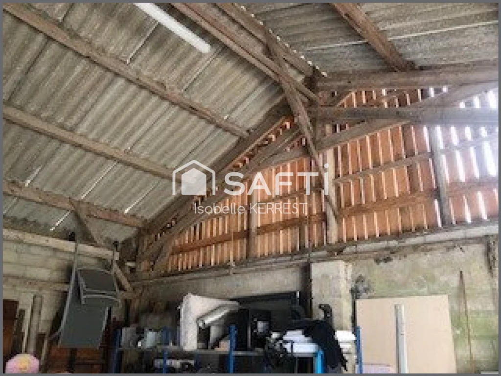 Photo 13