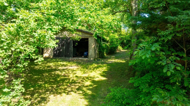 Photo 20