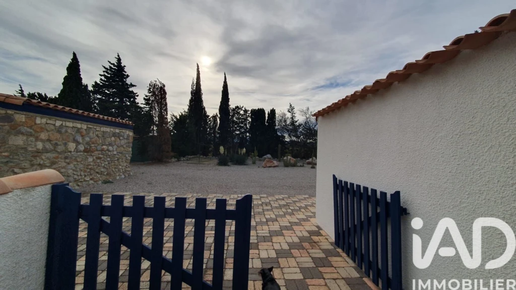 Photo 19