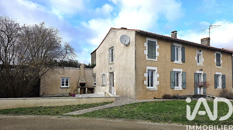 Photo 19