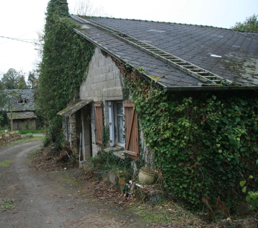 Photo 4