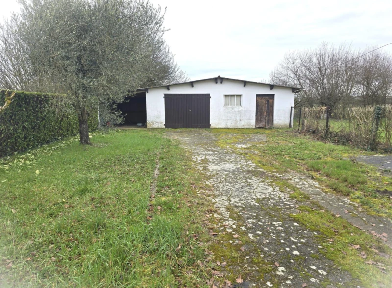 Photo 4