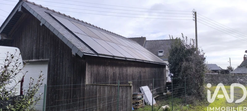 Photo 19