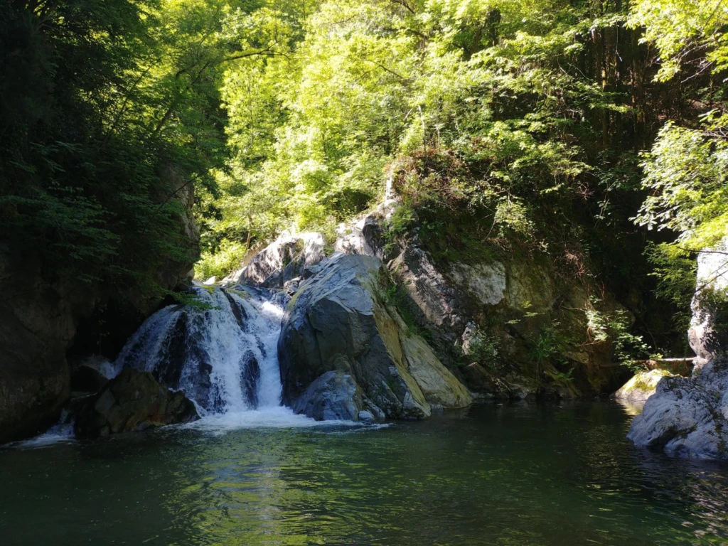 Photo 20