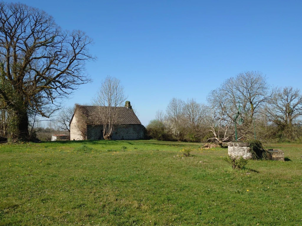 Photo 19