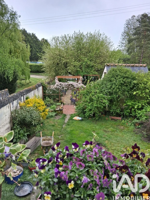 Photo 23