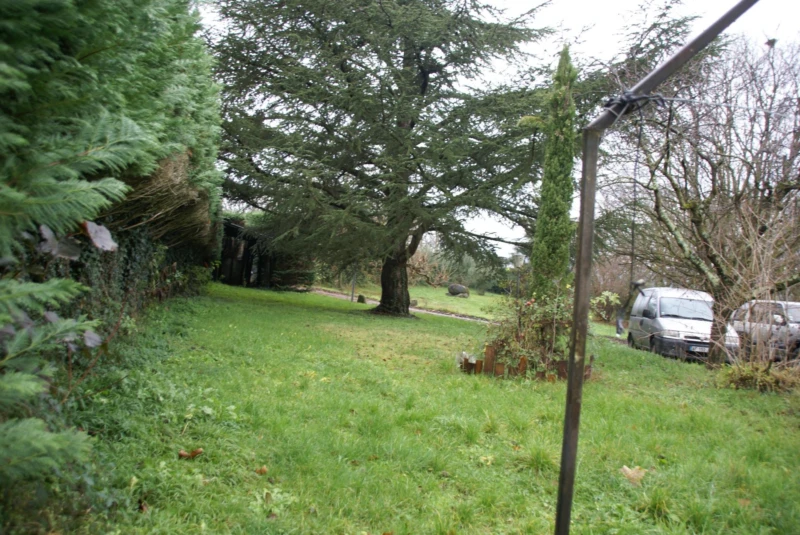 Photo 17