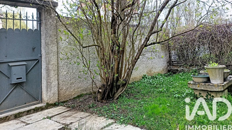 Photo 19