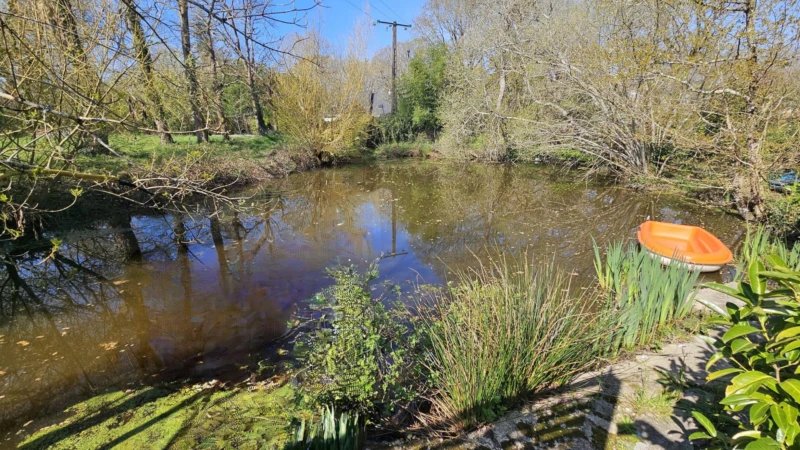 Photo 17