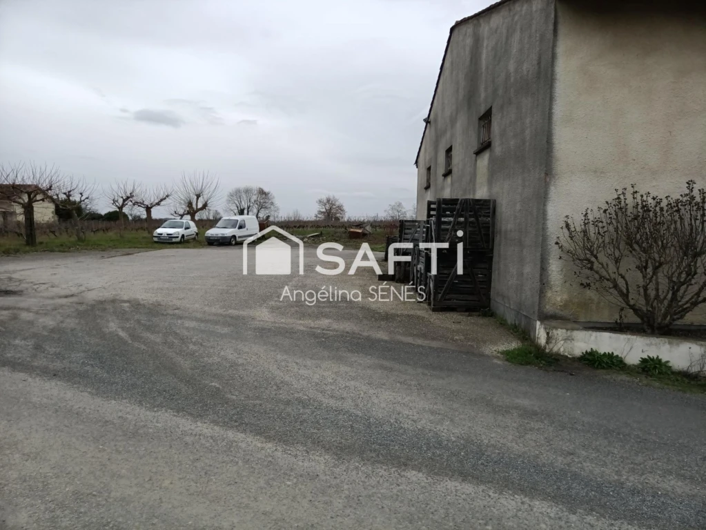 Photo 15