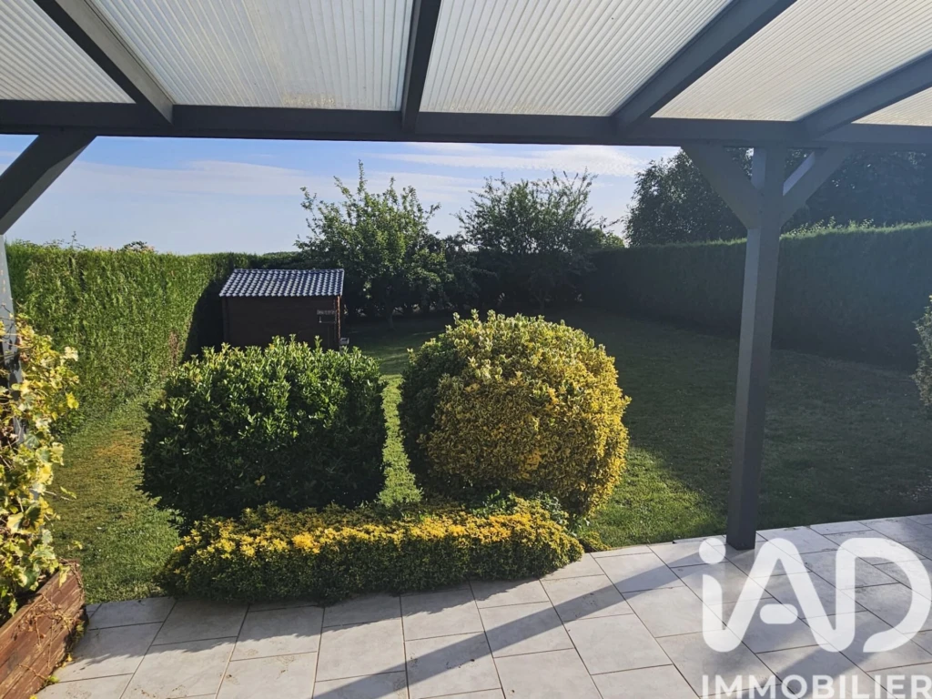 Photo 19