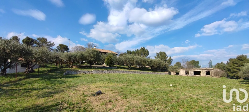 Photo 26