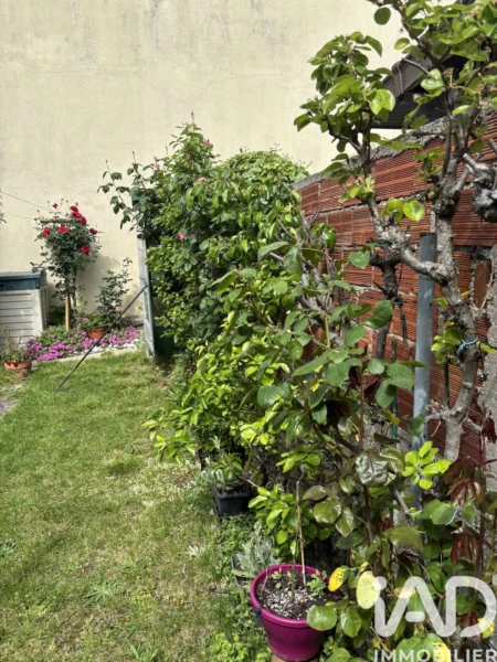 Photo 27