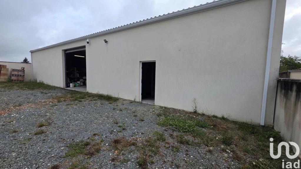 Photo 14