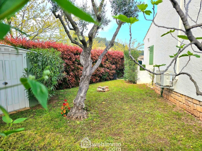 Photo 20