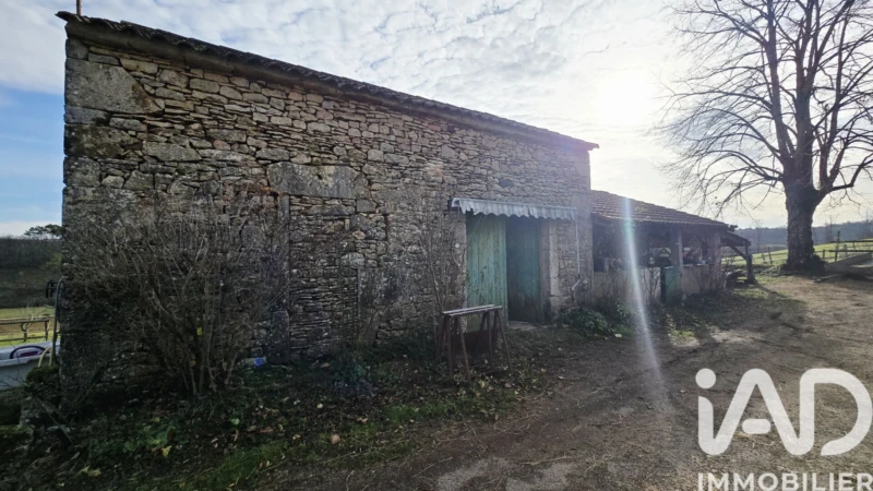 Photo 13