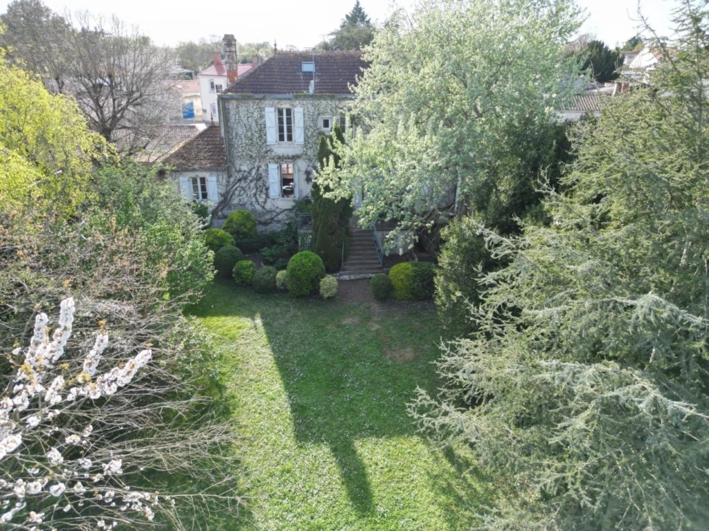 Photo 11