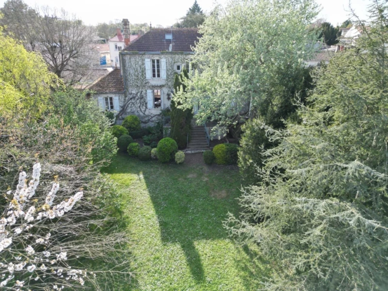 Photo 11
