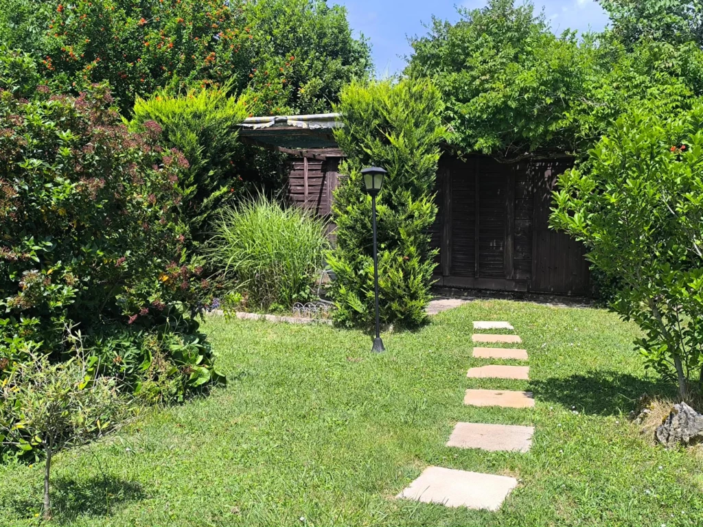 Photo 14