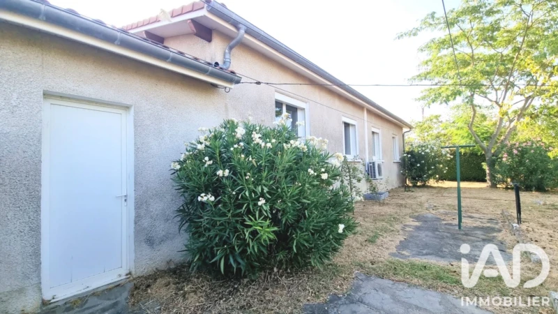 Photo 19