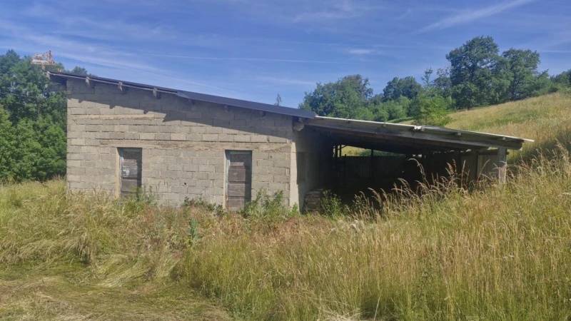 Photo 4