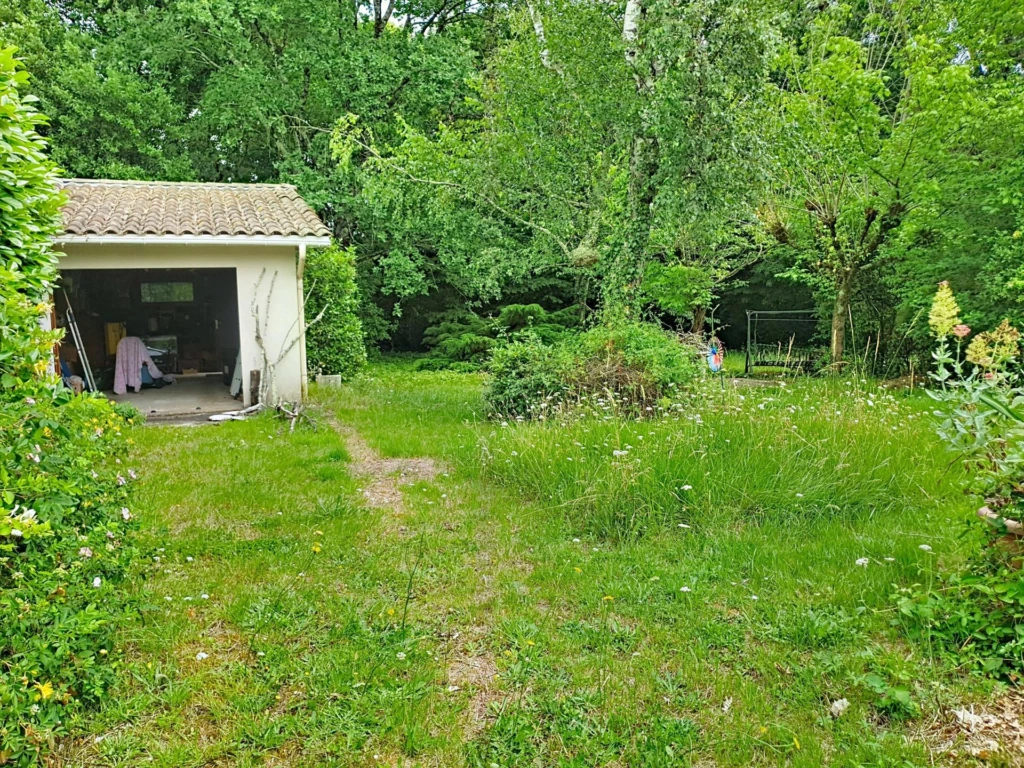 Photo 14