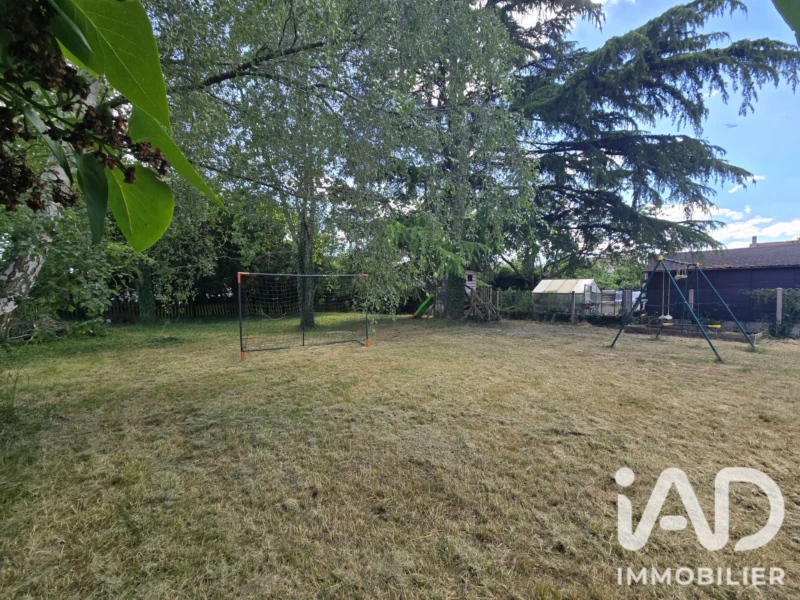 Photo 19