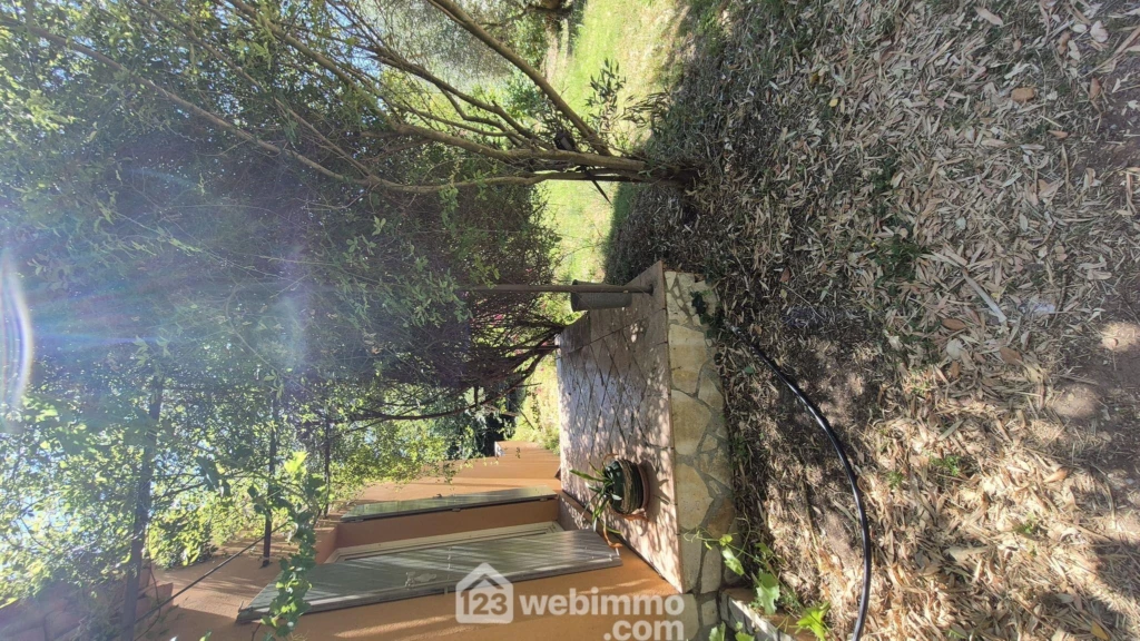 Photo 24