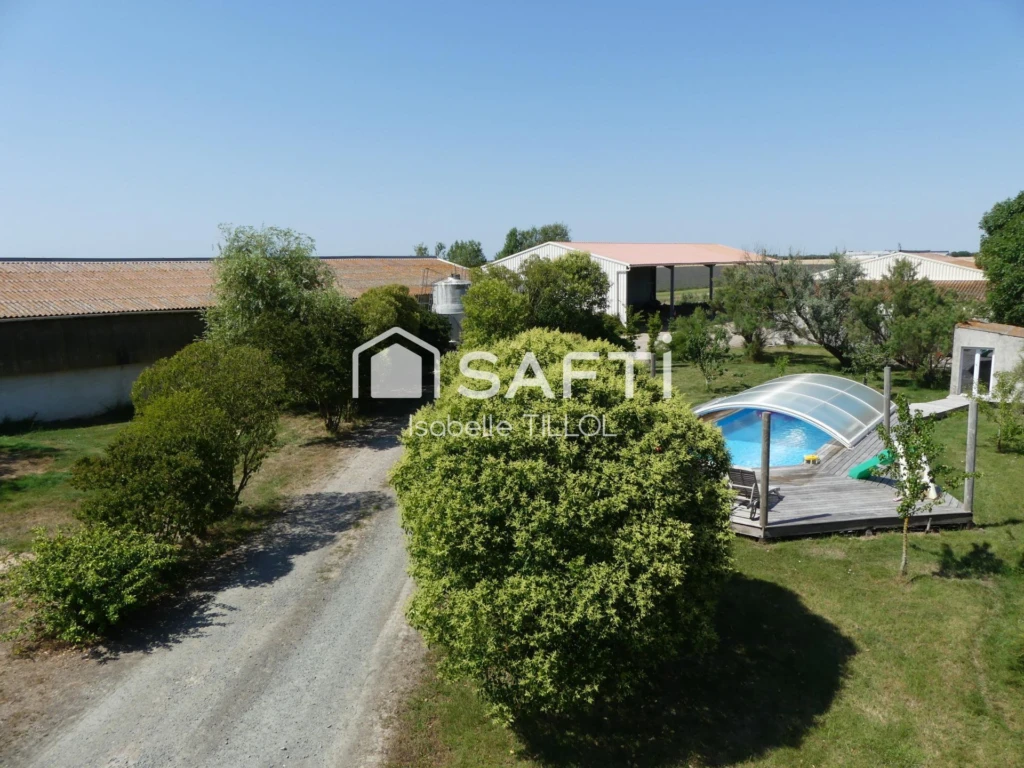 Photo 14
