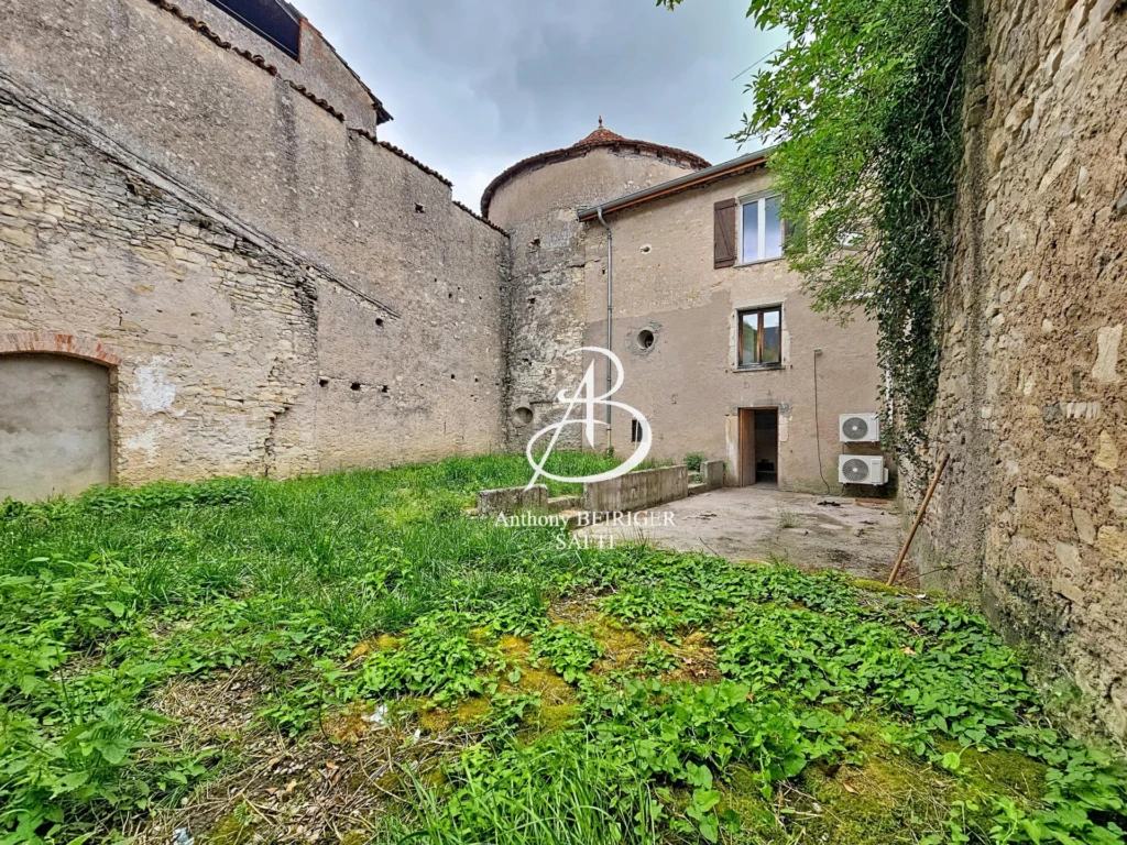 Photo 15