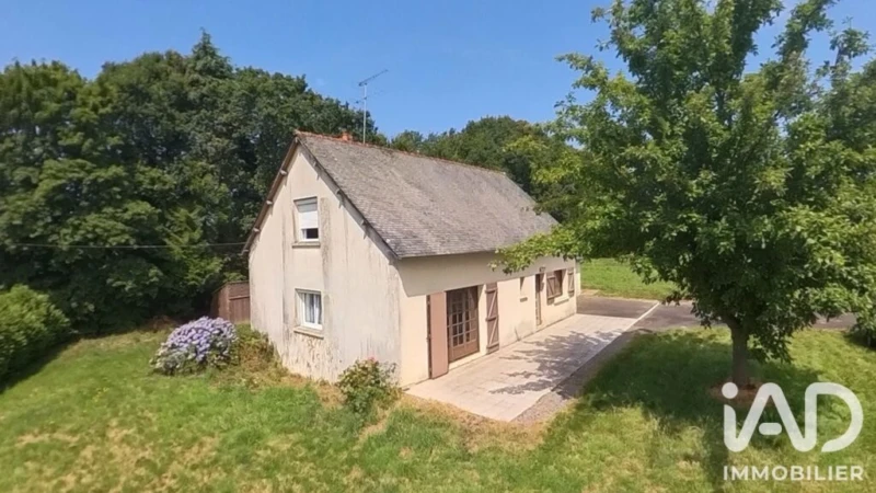 Photo 19