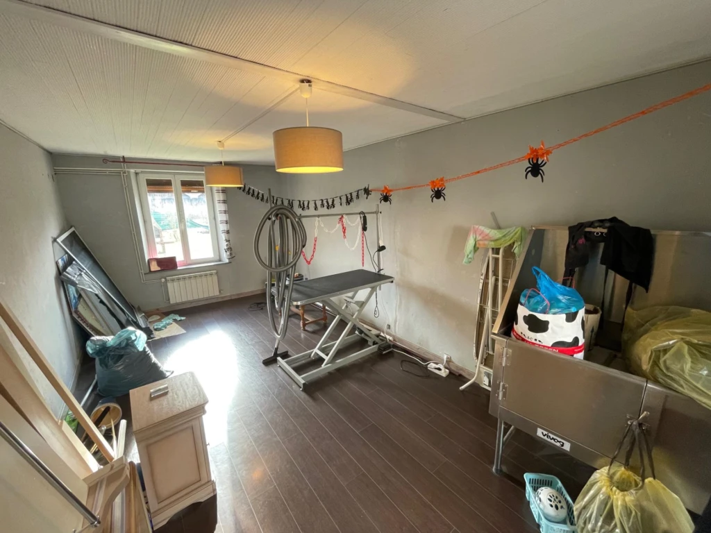 Photo 5
