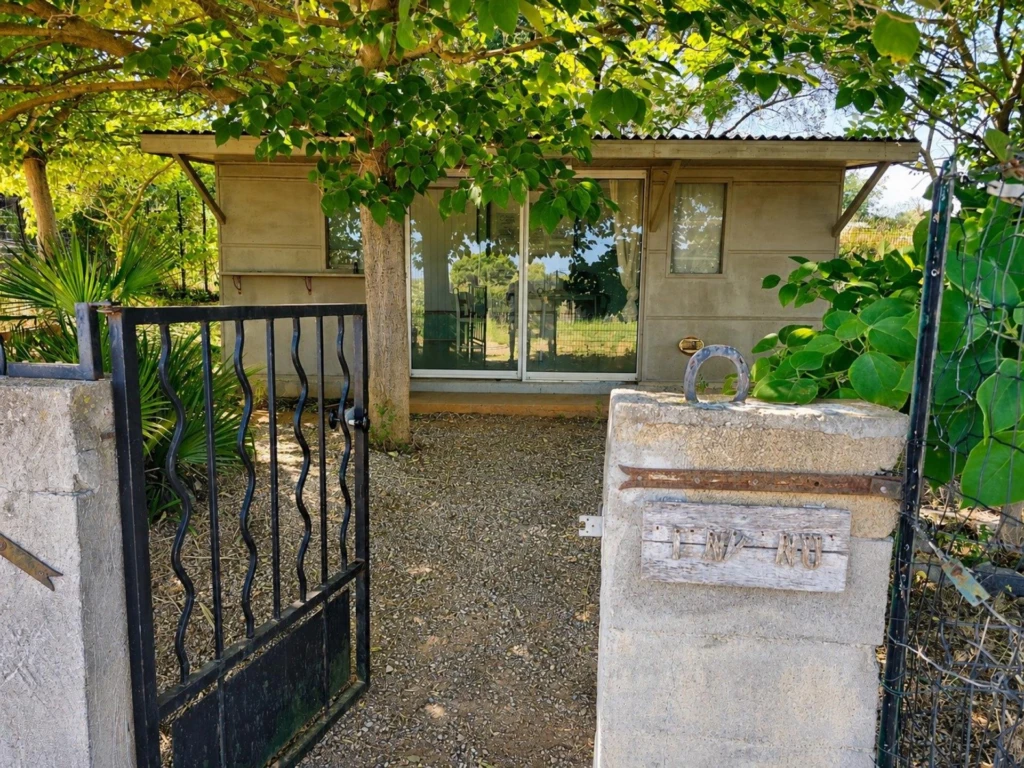 Photo 11