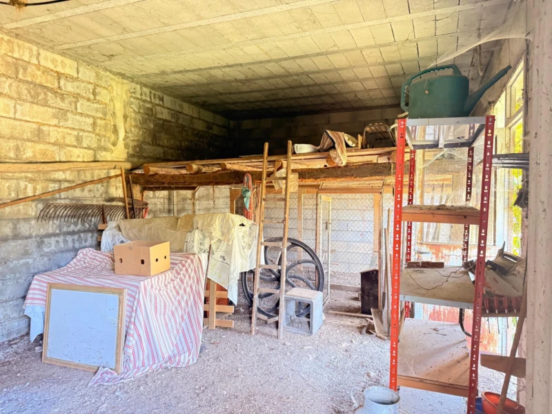 Photo 8