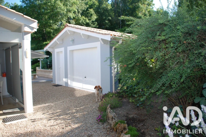 Photo 12