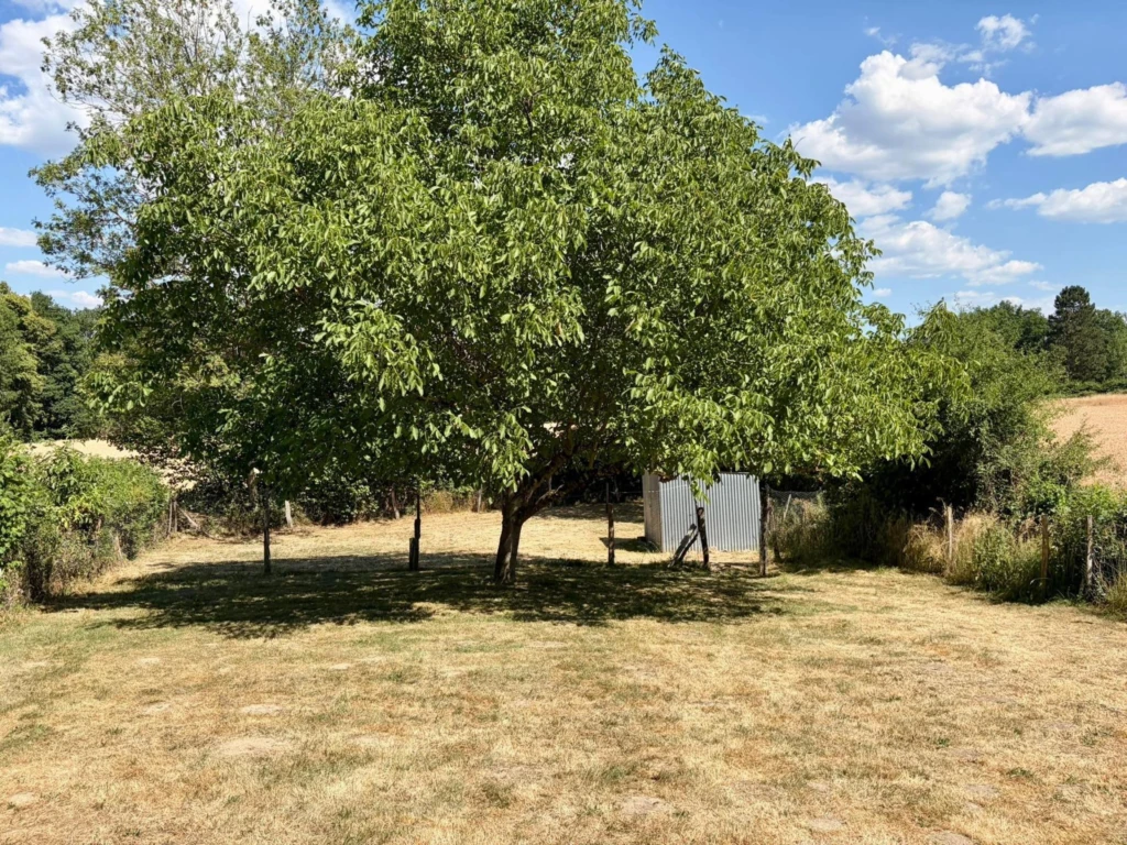 Photo 16