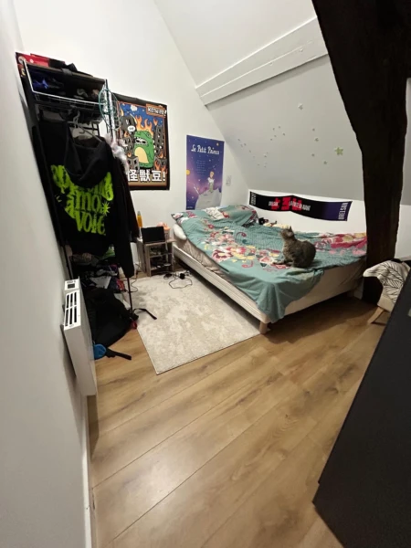 Photo 8